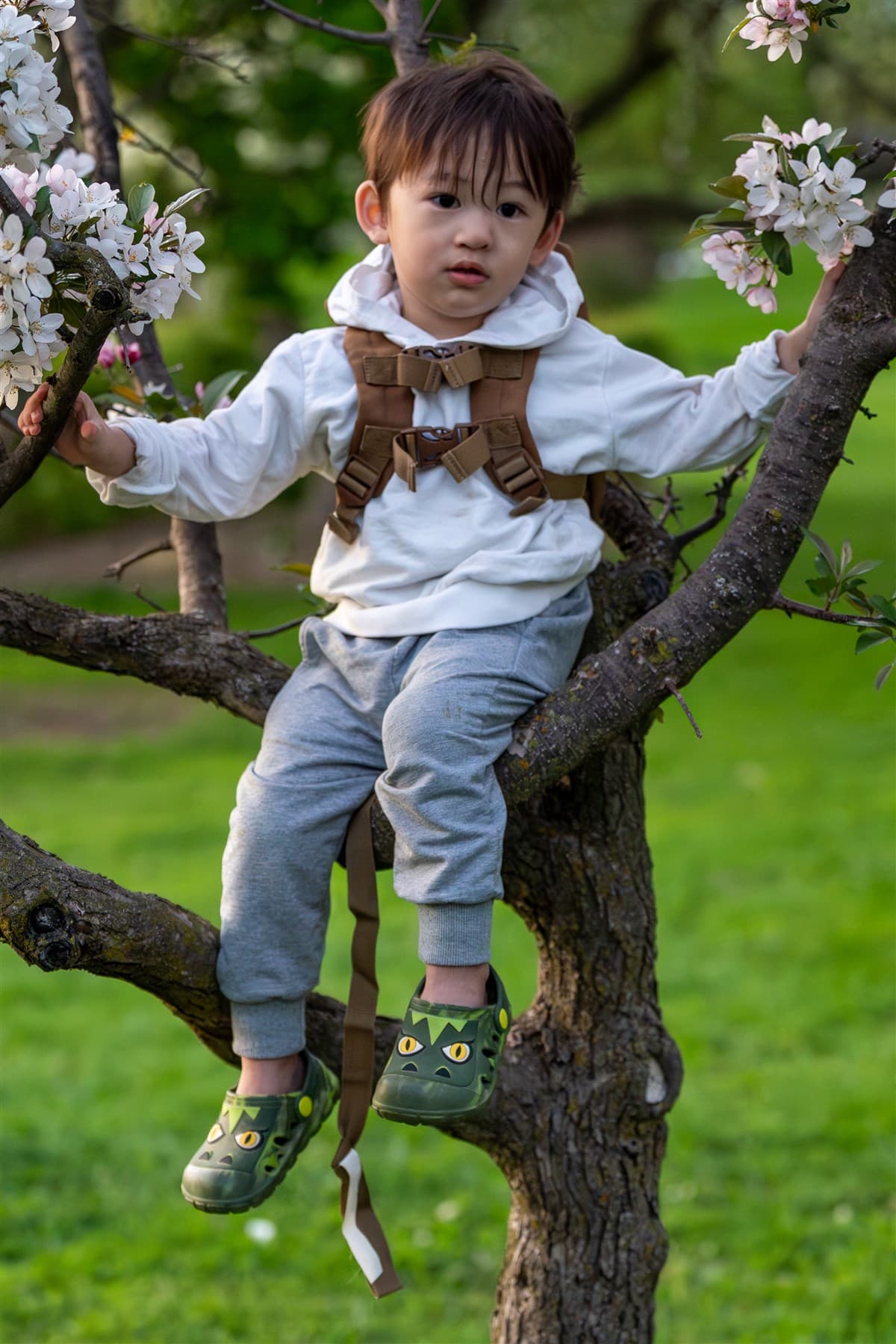 Portrait of a child sitting in a flowering tree during spring.